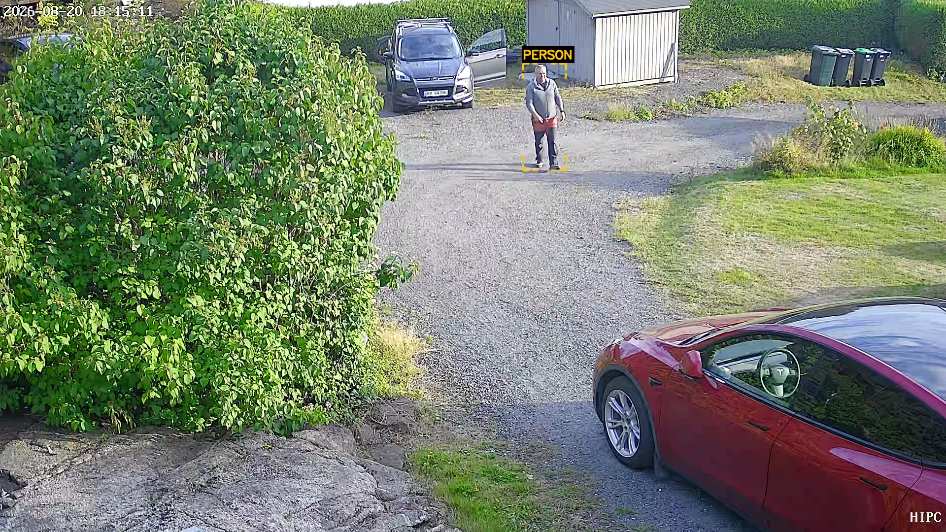 Human