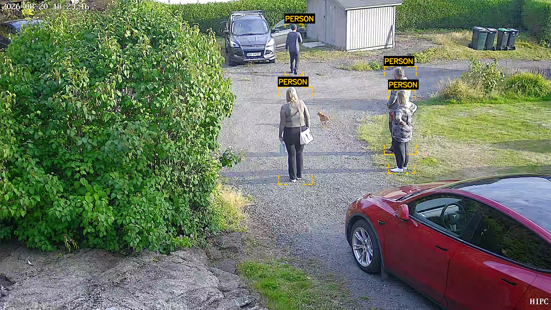 Human